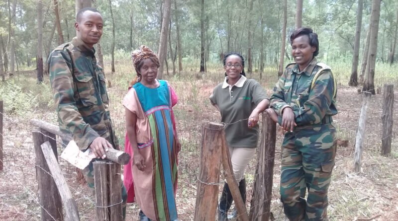 Tree planting in Kenya in an earlier year, illustrative and not the 2026 Mazingira Day event