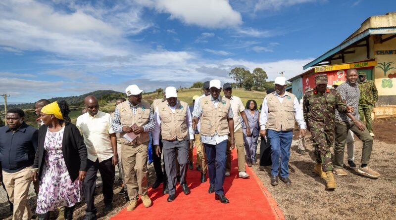 Officials and security personnel walking together on a red carpet during an outdoor development visit
